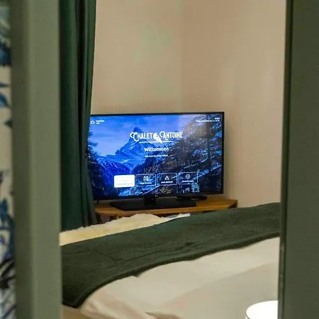 Antoine Serviced By Mirabeau Lejlighed Zermatt